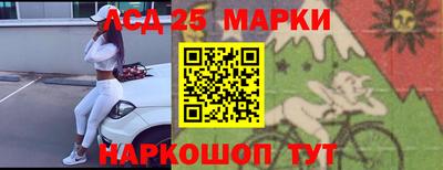 гашик Моздок