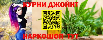 гашик Моздок