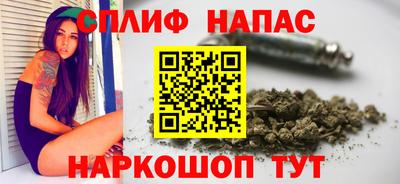 гашик Моздок