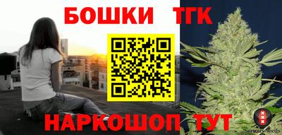 гашик Моздок