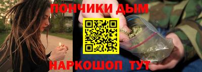 гашик Моздок