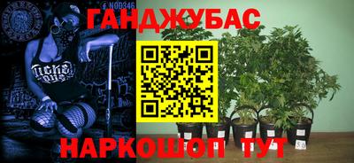 гашик Моздок