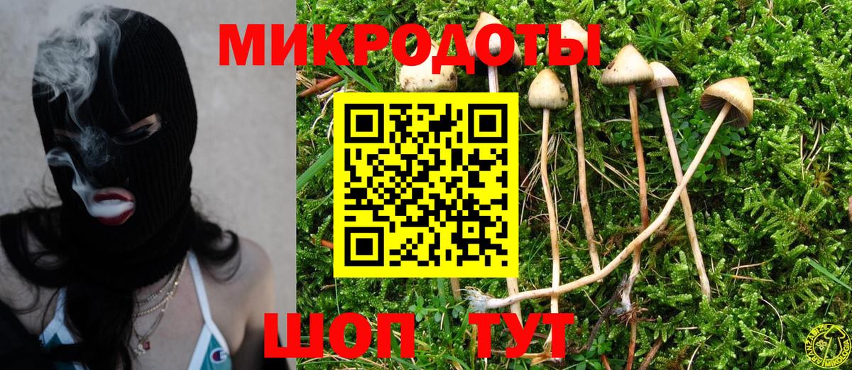 Галлюциногенные грибы мицелий  Вход с VPN  Вязники 