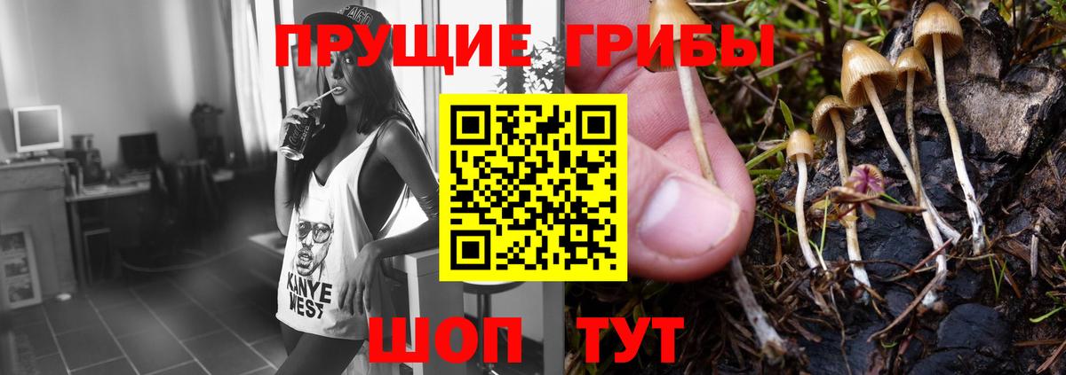 Галлюциногенные грибы мицелий Вязники